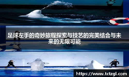 足球左手的奇妙旅程探索与技艺的完美结合与未来的无限可能